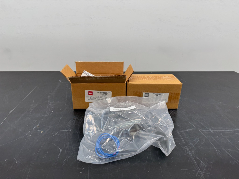 Image of BS&B Rupture Disk